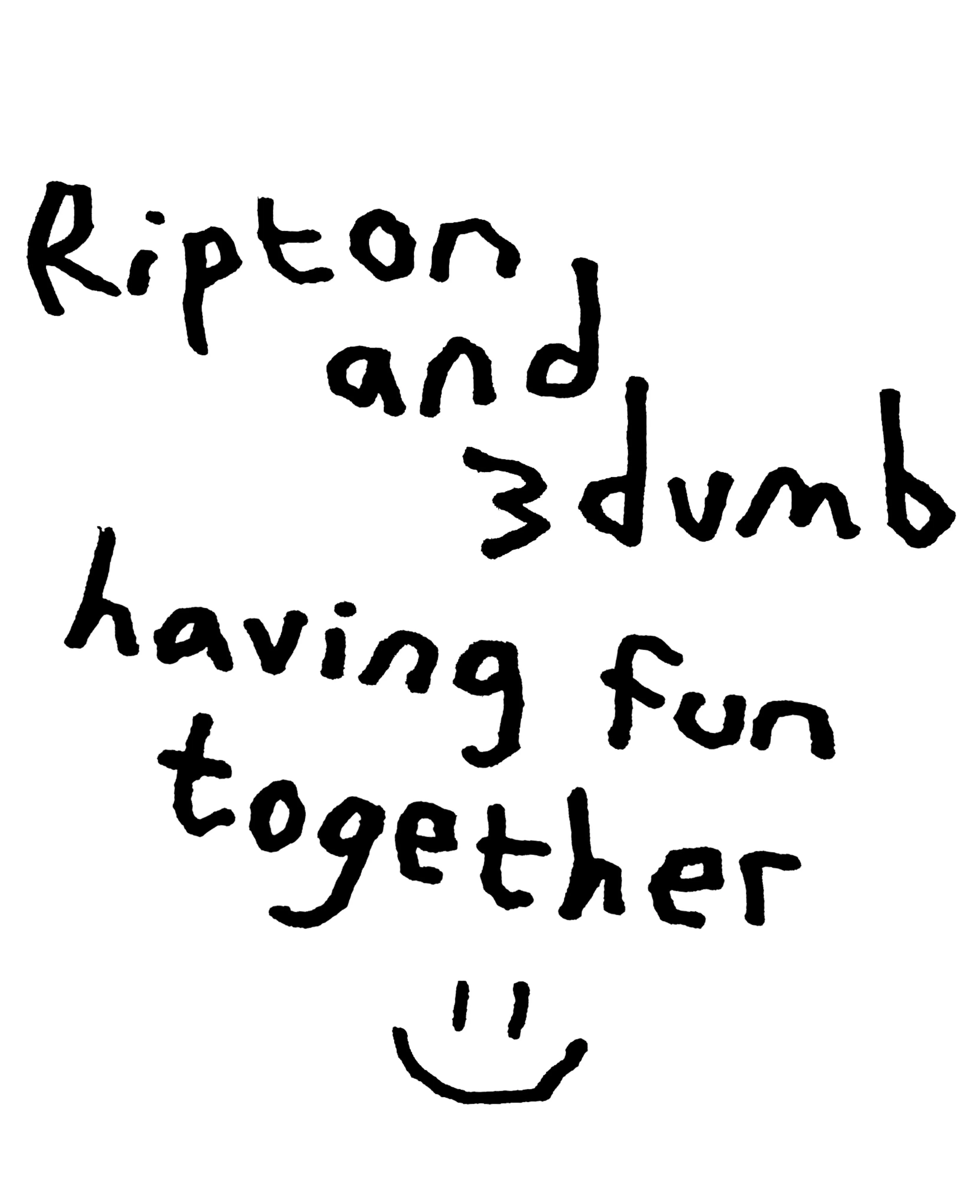 Ripton x 3dumb Trousers Rinse